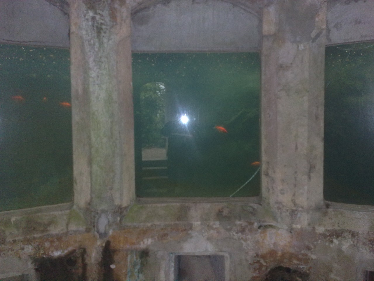 Persino un' acquario sul percoso dei 20 km. a Piovene R.