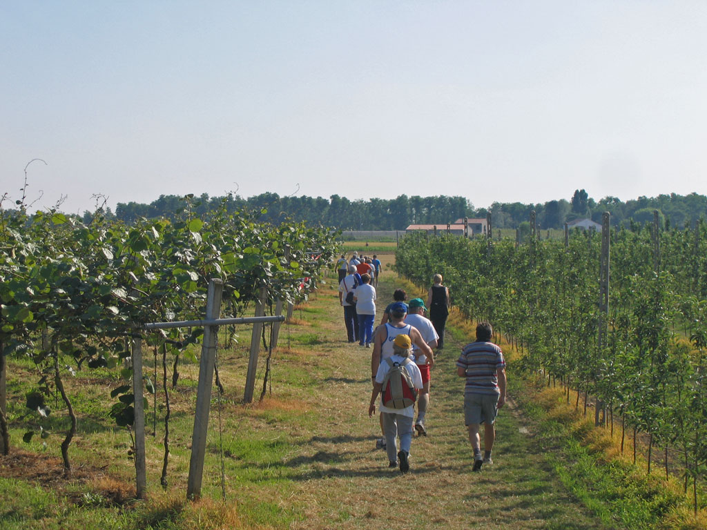 Caminada tra il Kiwi 2009: un successo!