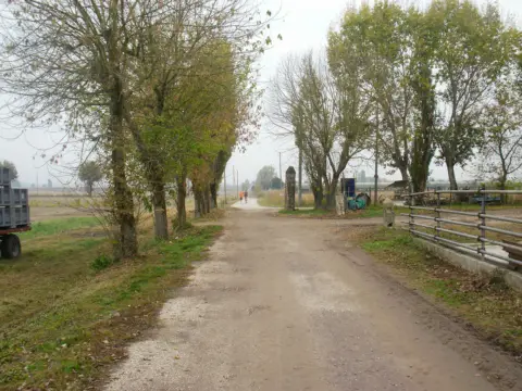 2ª Caminada par el sguazo – 2011 – foto 84