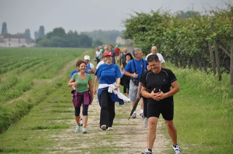 12ª Caminada tra il Kiwi – 2010 – foto 18