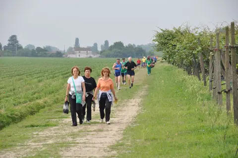 12ª Caminada tra il Kiwi – 2010 – foto 24