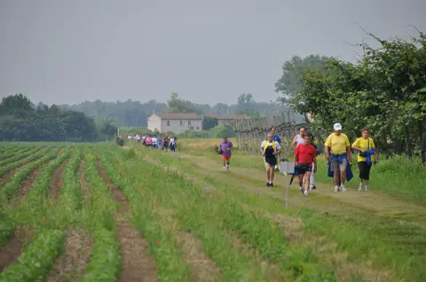 12ª Caminada tra il Kiwi – 2010 – foto 28