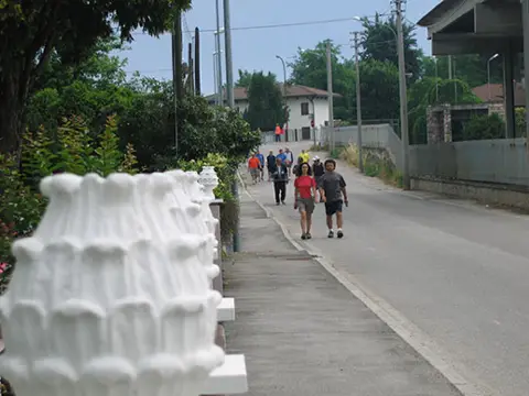 12ª Caminada tra il Kiwi – 2010 – foto 59