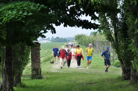 12ª Caminada tra il Kiwi – 2010 – foto 69