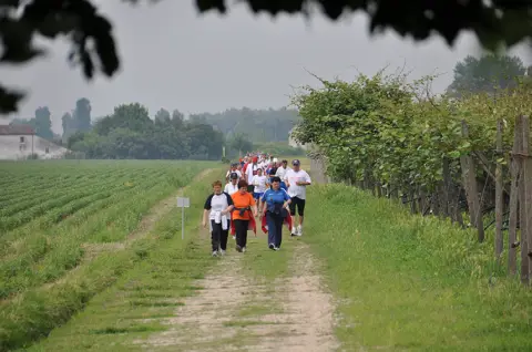 12ª Caminada tra il Kiwi – 2010 – foto 70