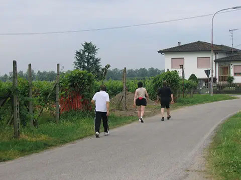 12ª Caminada tra il Kiwi – 2010 – foto 92