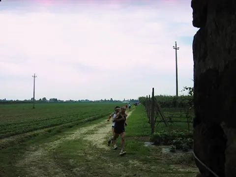 12ª Caminada tra il Kiwi – 2010 – foto 170