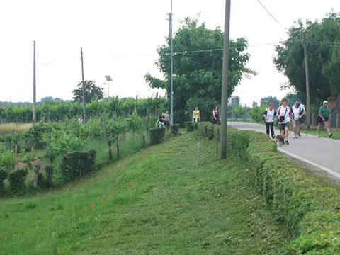 12ª Caminada tra il Kiwi – 2010 – foto 232