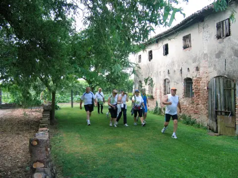13ª Caminada tra il Kiwi – 2011 – foto 3