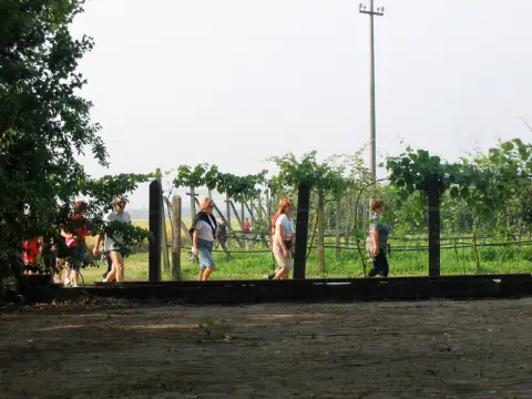 13ª Caminada tra il Kiwi – 2011 – foto 5