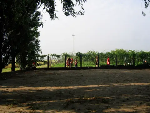 13ª Caminada tra il Kiwi – 2011 – foto 6