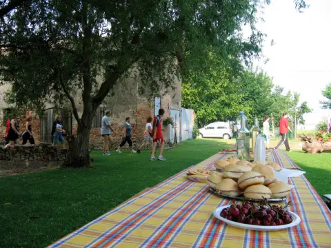 13ª Caminada tra il Kiwi – 2011 – foto 7