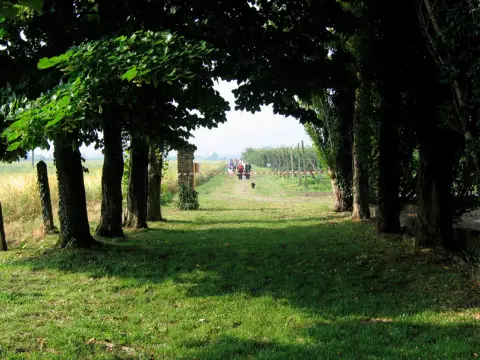13ª Caminada tra il Kiwi – 2011 – foto 9