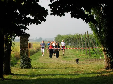 13ª Caminada tra il Kiwi – 2011 – foto 10