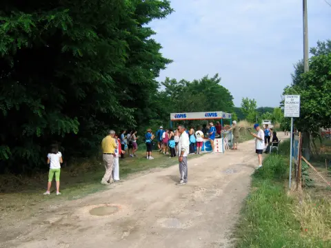 13ª Caminada tra il Kiwi – 2011 – foto 19