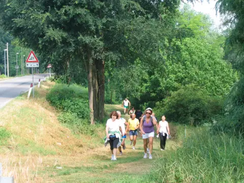 13ª Caminada tra il Kiwi – 2011 – foto 25