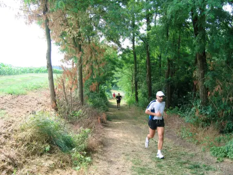 13ª Caminada tra il Kiwi – 2011 – foto 30