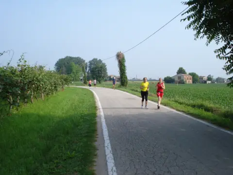14ª Caminada tra il Kiwi – 2012 – foto 34
