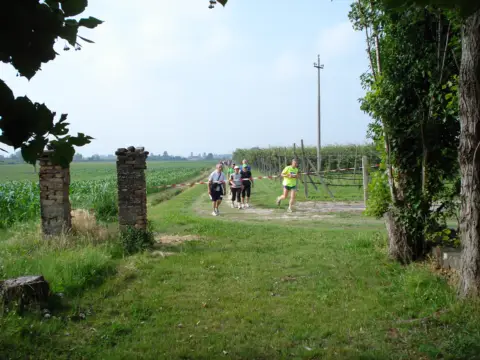 14ª Caminada tra il Kiwi – 2012 – foto 52