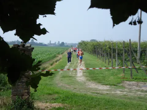 14ª Caminada tra il Kiwi – 2012 – foto 53