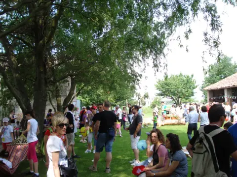 14ª Caminada tra il Kiwi – 2012 – foto 88