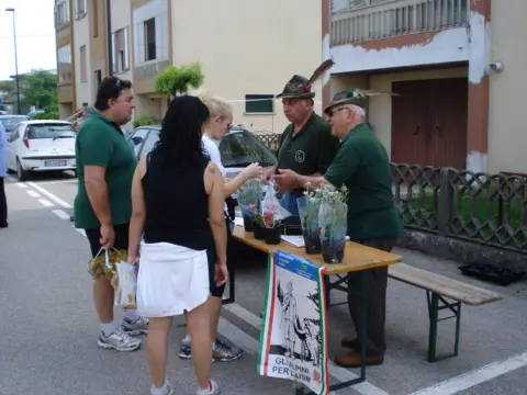 14ª Caminada tra il Kiwi – 2012 – foto 132