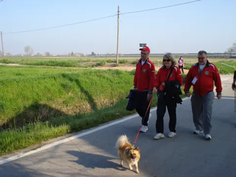 15ª Caminada tra il Kiwi – 2013 – foto 31