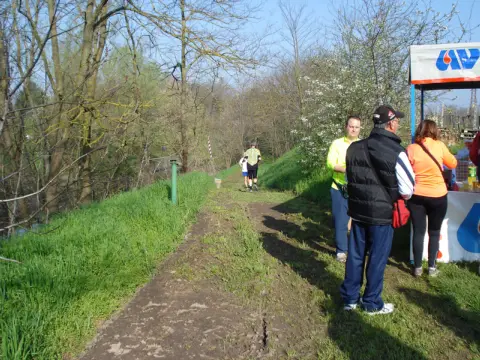 15ª Caminada tra il Kiwi – 2013 – foto 51
