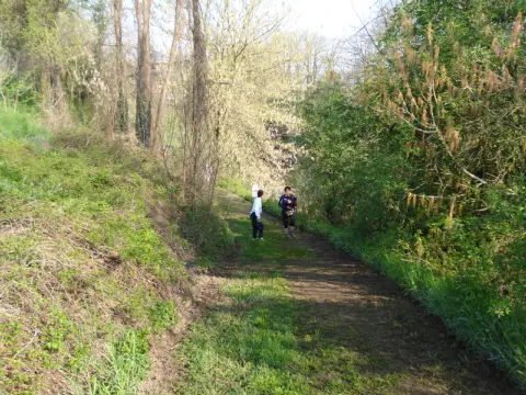 15ª Caminada tra il Kiwi – 2013 – foto 55