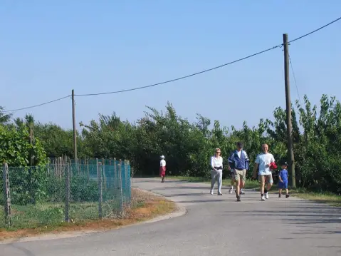 11ª Caminada tra il Kiwi – 2009 – foto 27