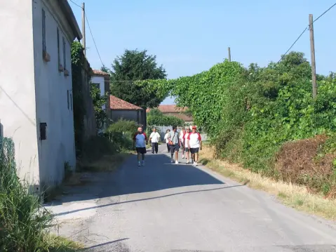 11ª Caminada tra il Kiwi – 2009 – foto 28