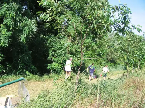 11ª Caminada tra il Kiwi – 2009 – foto 45