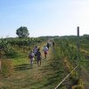 caminada-tra-il-kiwi-2009-gp-giacciano-con-baruchella-25